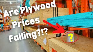 When will Plywood Prices Come Down?