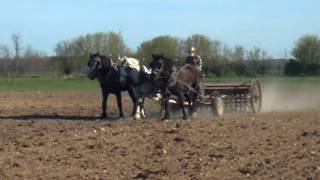 Drilling Oats with Horses & Ontario Grain Drill, April 2012
