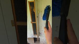 Why Was There A Wasps Nest Here? #wasp