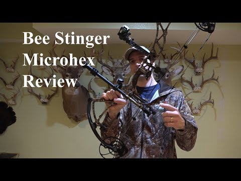 Bee Stinger Microhex Review