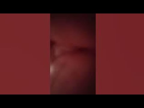 Life Update Vlog ✨ Calm & Productive Day in My Life | october 15, 2025 Routine