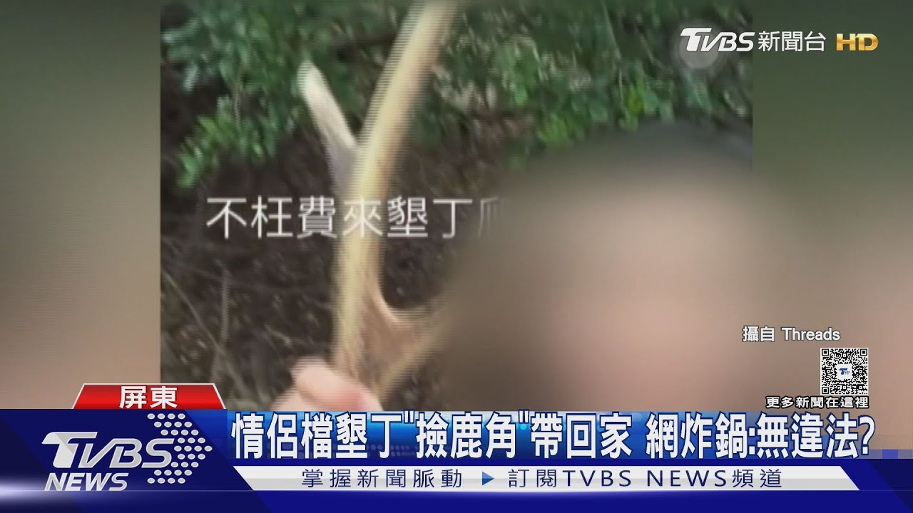 情侶檔墾丁「撿鹿角」帶回家!網炸鍋:無違法 墾管處、警要查