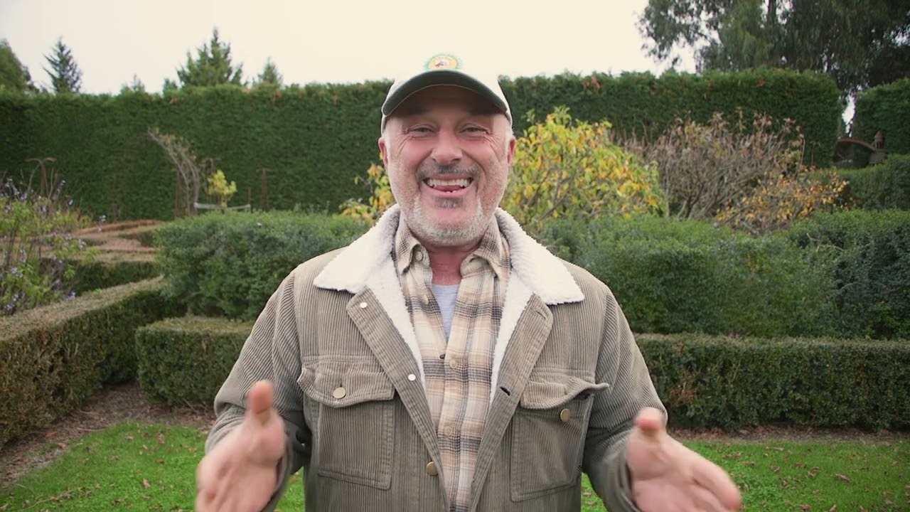 Launch Date Announcement for the New Website