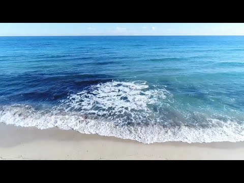 Relaxing Place || Nature || Delia Milan