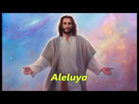 Aleluya Shalom