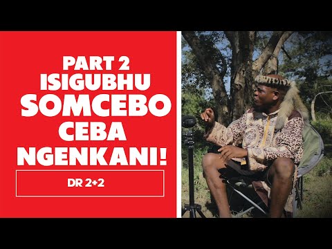 Isigubhu Somcebo Part 2 - Dr 2+2