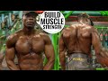 Bodyweight Workout For Size | Push Pull Workout for Strength