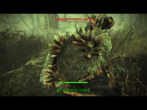 Fallout 4 Anglers and the Mysterious Stranger