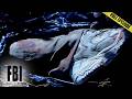 The Most Dangerous Manhunt In Grand Canyon History | The FBI Files