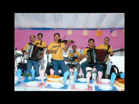 VITA MALI I OSTALI - ORKESTAR URNEBES IGRANKA UZIVO