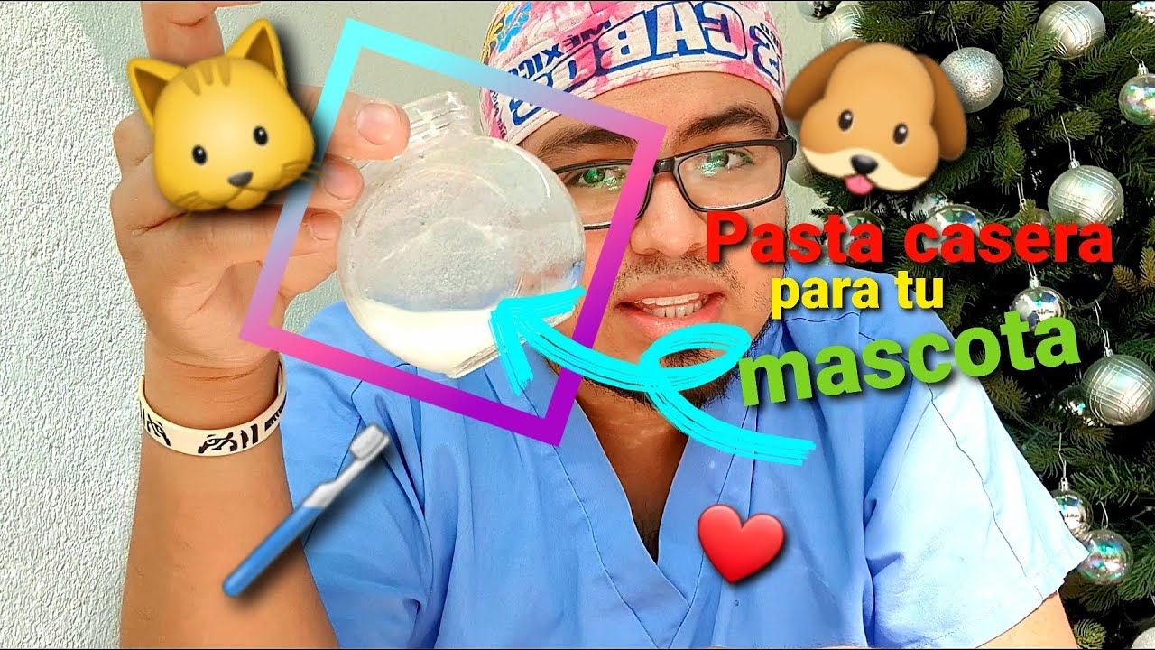 Aprendiendo- Como hacer pasta casera dental para perro🐶🐶