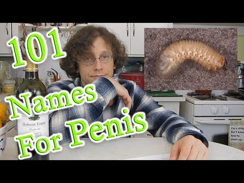 Penisuri și tipuri de penisuri