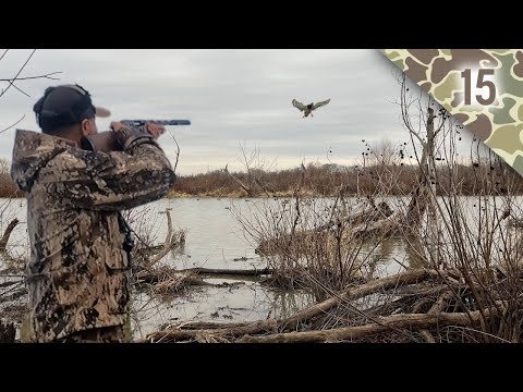 Tiny Slough Duck Hunt // Big Group of Teal and Working Mallards!