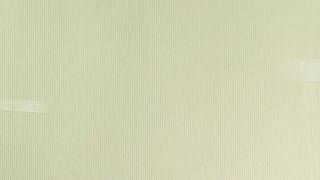 Stephen Jerzak - Best friends w/lyrics