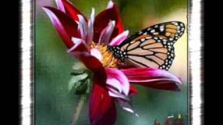 victor e leo-[borboleta]