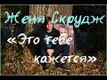 Женя Скрудж - "Это тебе кажется" 