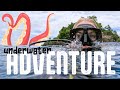 Underwater Adventure Can You Spot The Octopus Maddie Moate