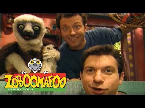 Zoboomafoo 121 - Giants (Full Episode)
