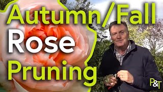 How to Autumn/Fall Prune Roses - Pots &amp; Trowels