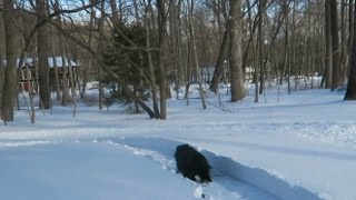 WALKING THE SNOW PATH