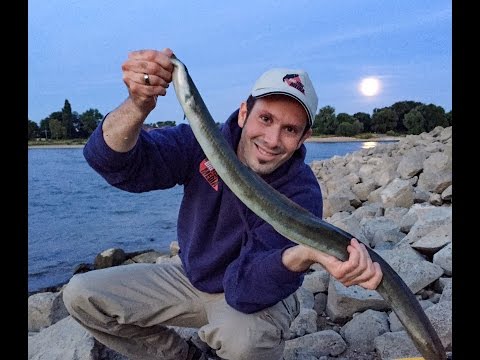 Fishing on the big river - Full moon for eels