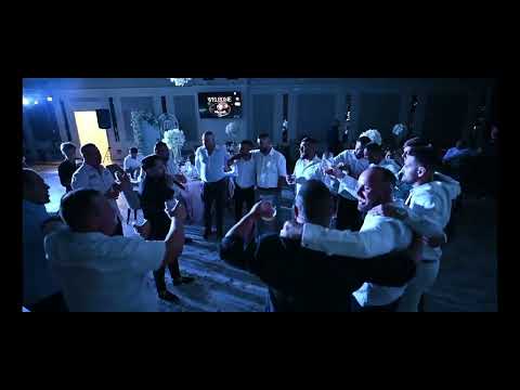 Ionut Printul Banatului - Fire albe de argint || LIVE 