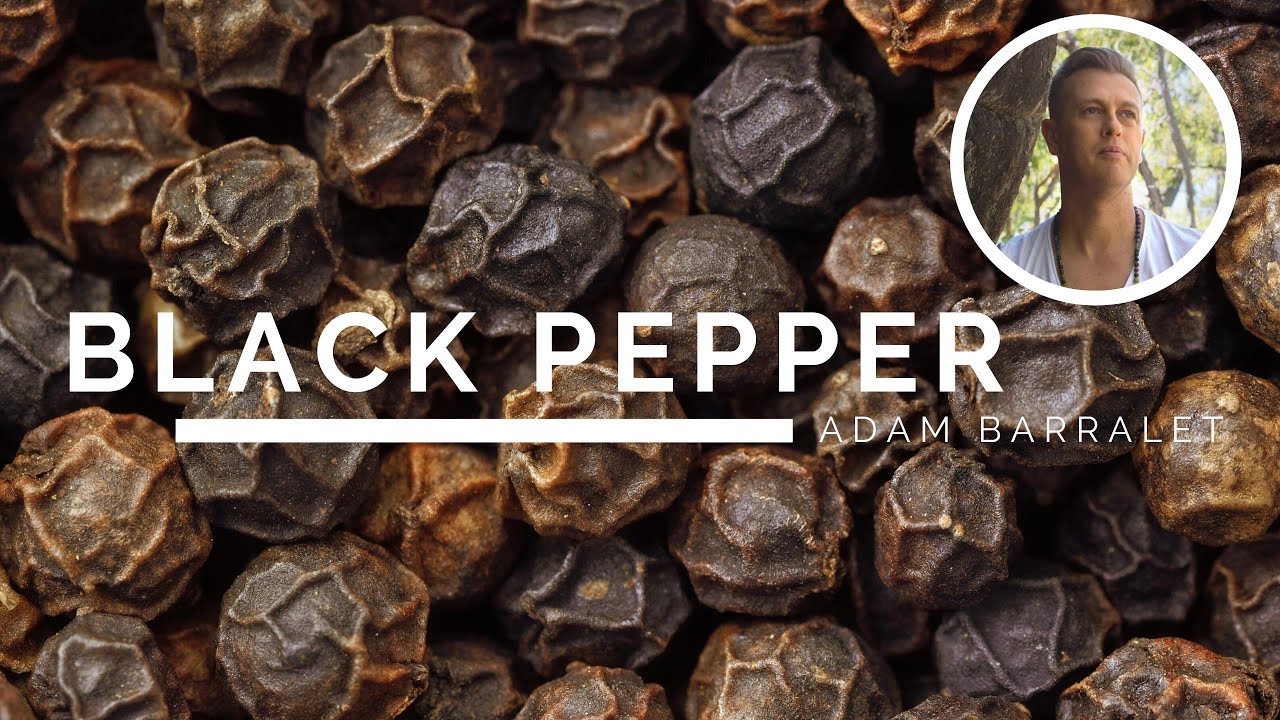 Black Pepper - The Oil of Authenticity - YouTube