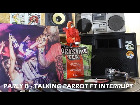 Parly B - Talking parrot ft Interrupt