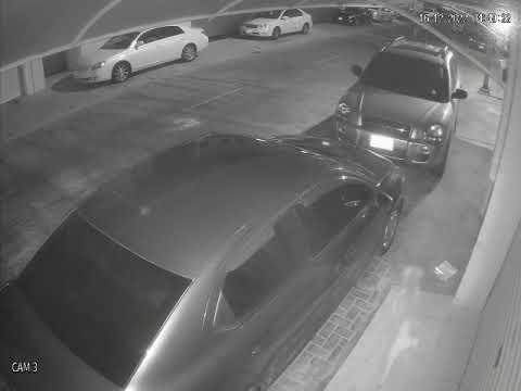 الدوسري: ثالثة الشمالية تستغيث من الكلاب الضالة