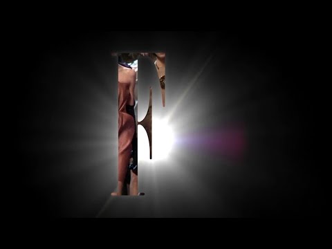 Marissa Webb - Fall 2016 - NYFW - Videofashion Collections