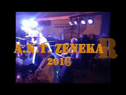 A.N.T. zenekar -  Azt hallottam picike babám - hosszú mulatós egyveleg  2016 - élő