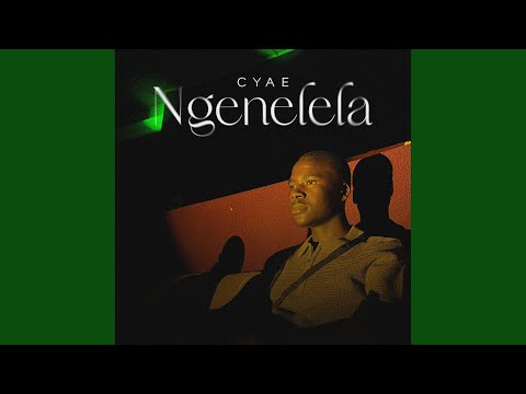 Ngenelela