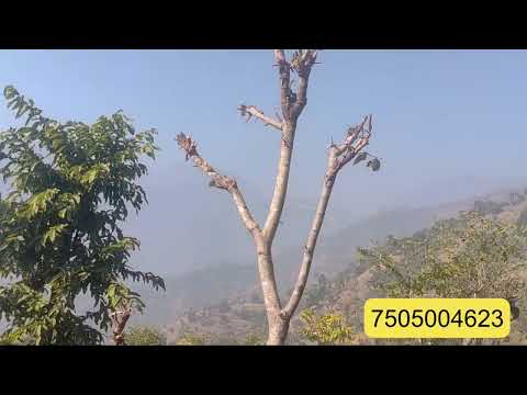 Premium Investment Land for Sale  Khadkinear Naukuchiatal | Jamrani Dam View