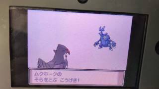 ポケモンプラチナ21ライバル対決inポケモンリーグ！