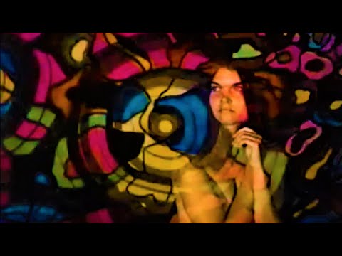 13th Floor Elevators - Reverberation