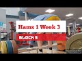DVTV: Block 5 Hams 1 Wk 3