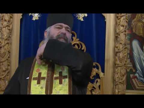 ETAPA CU ETAPA SI TREAPTA CU TREAPTA - PARINTELE CALISTRAT