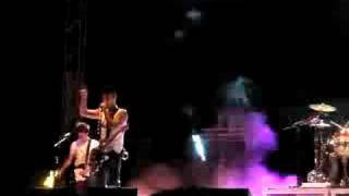 Pignoise - Como un loco por tí