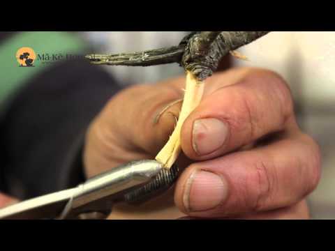 21) Creating Jin Deadwood -Creating Bonsai Deadwood - Bonsai Technique Series