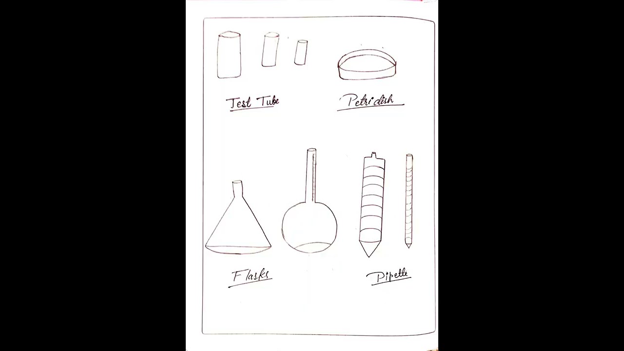 Microbiology practical, microbiology bsc nursing 1st yearmicrobiology lecture, microbiology course