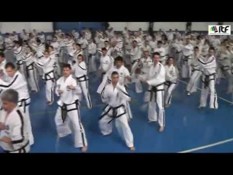 IIC 105: Interview with Mattias Hoffman and Håkan Hansson (Sweden)