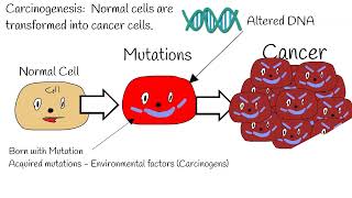 Carcinogenesis - Mechanism of action  Proto-Oncoge