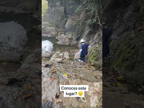 Hoy Visitamos un lugar muy tradicional de La Plata Huila! Sabes dónde es?✨ #yamita #laplatahuila