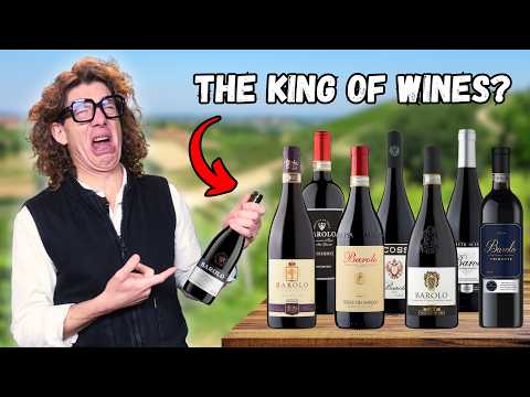 Finding the BEST Barolo for £20