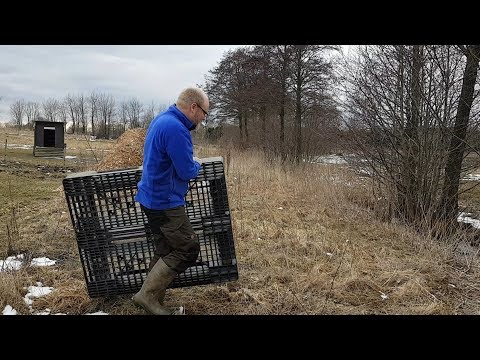 Placering av bikupor