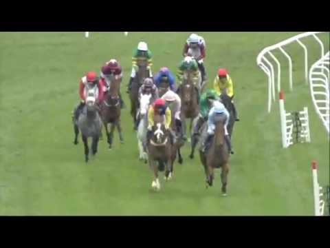 17/03/2017 Cheltenham Gold Cup Gr I SIZING JOHN