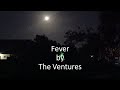 The Ventures - Fever