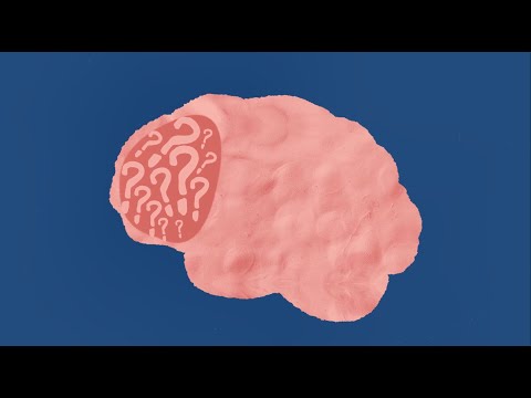 Stress and Your Brain: Working Towards Wellbeing