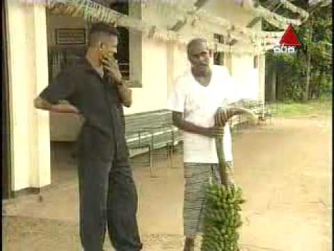 Api Nodanna Live Season 1 (1).avi