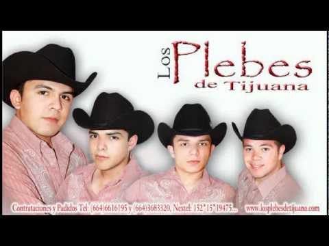 Los Plebes De Tijuana - La Mentirosa